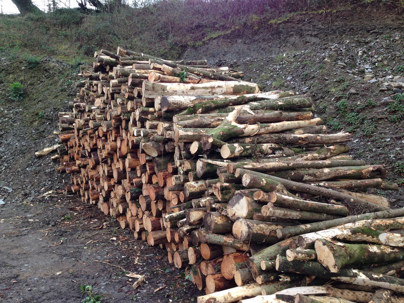 Firewood Logs Kingsbridge, Totnes, Ivybridge Devon - Woodleigh Wood - Home